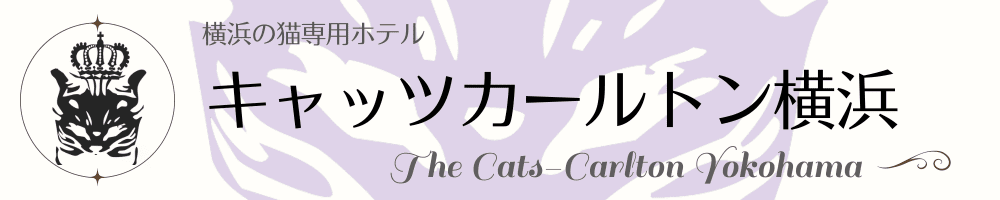 キャッツカールトン横浜